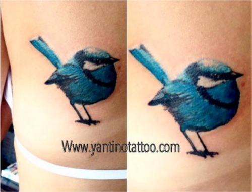 bird-tattoo-cover-up-ubud-good-full-color-realistic-back-arm-queentattoo-top-kings-bali-good-studio-yantino-tino