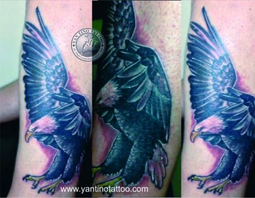 eaglge-tattoo-ubud-elang-bird-tattoo-studio-good-bali-realistic-color-top-bali-burung-bagus-kuta (1)